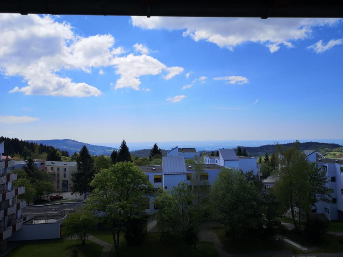 Appartement Penthouse Bergliebe *